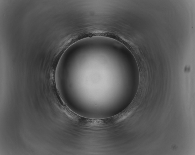 X0000090720288200708031508