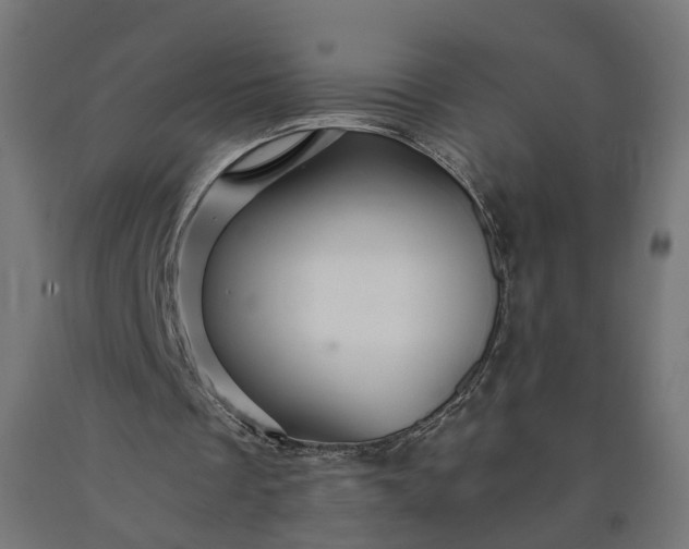 X0000090720289200708031507