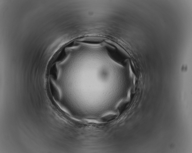 X0000090720290200708031507