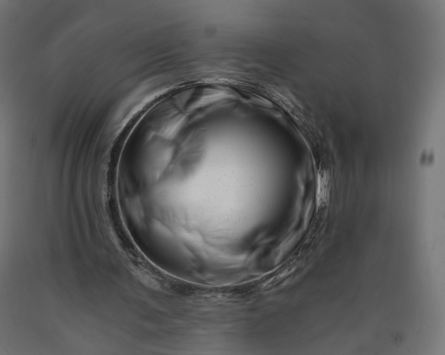 X0000090720291200708031507