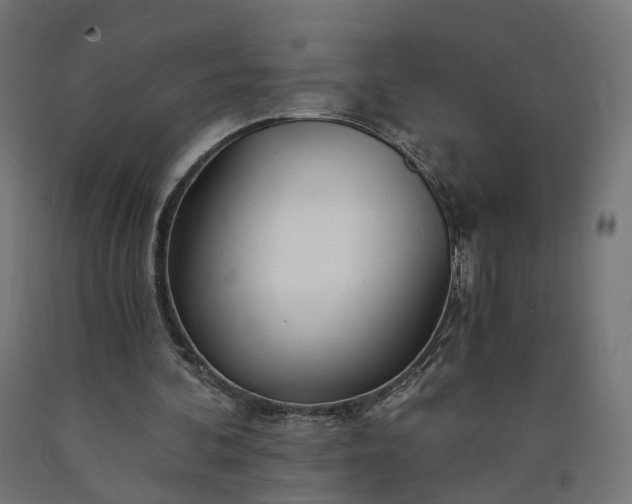 X0000090720292200708031507