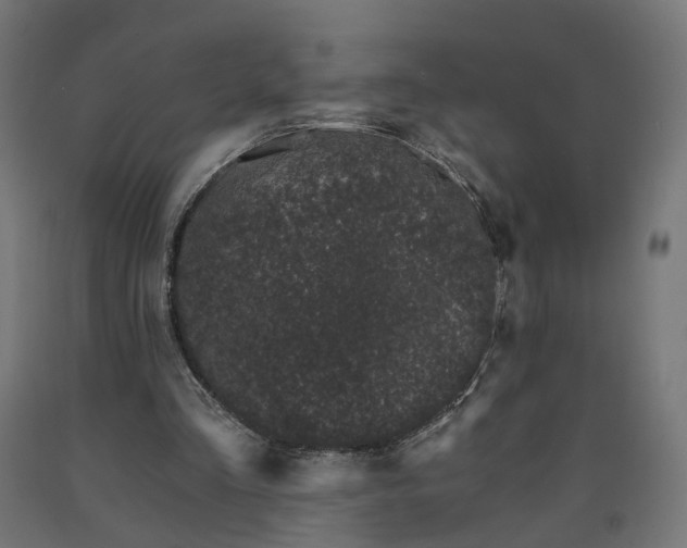 X0000090720293200708031507