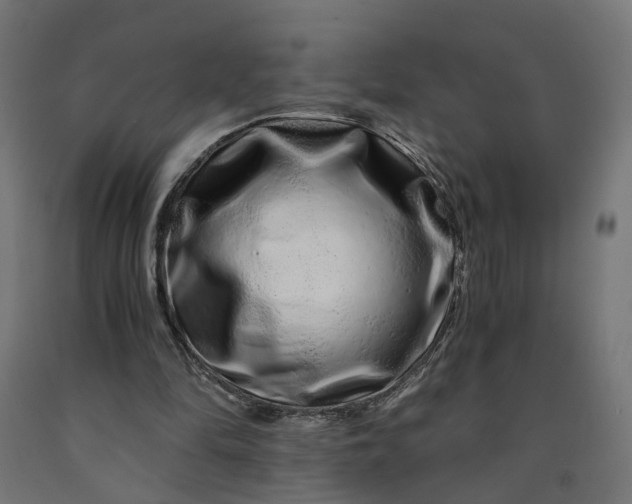 X0000090720294200708031507