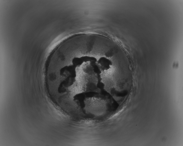 X0000090720295200708031507