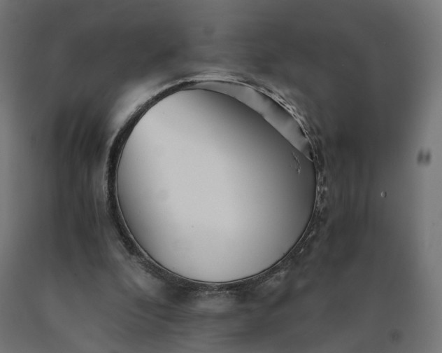 X0000090720296200708031507