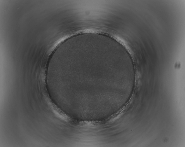 X0000090720297200708031507