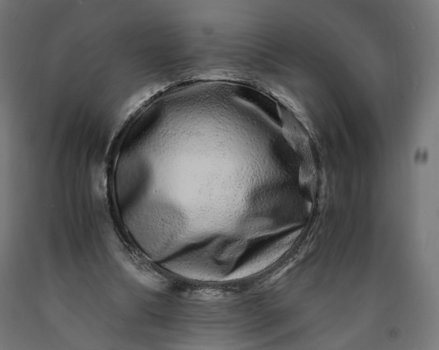 X0000090720298200708031507