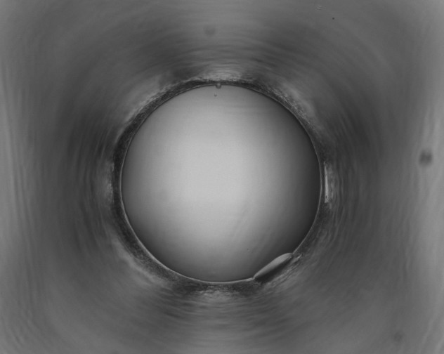 X0000090720300200708031507