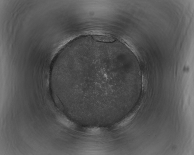 X0000090720301200708031507