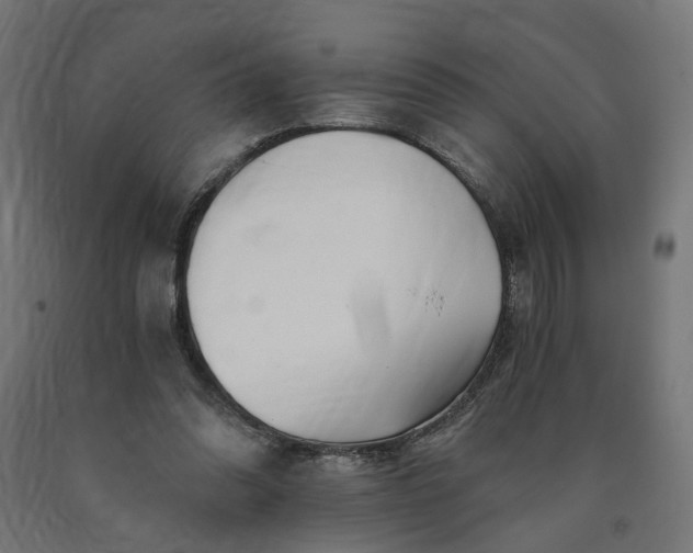 X0000090720302200708031507