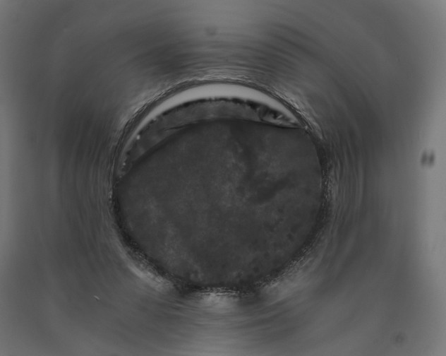 X0000090720303200708031507