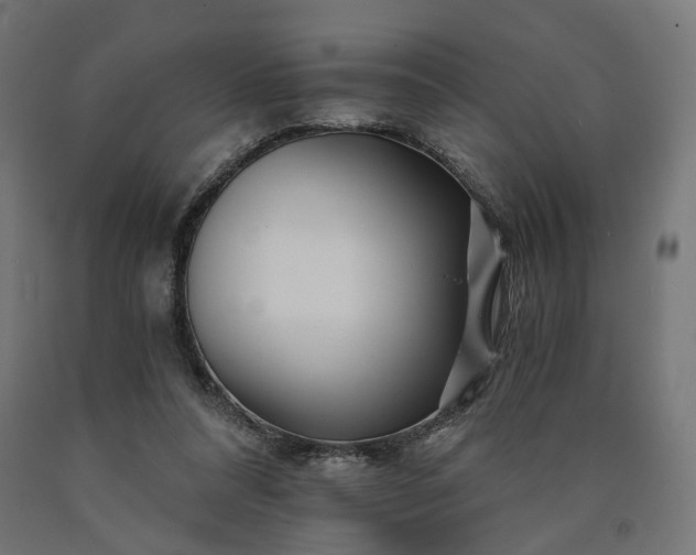 X0000090720304200708031507