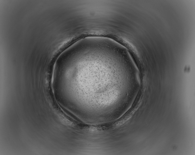 X0000090720305200708031507
