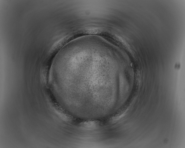 X0000090720307200708031507