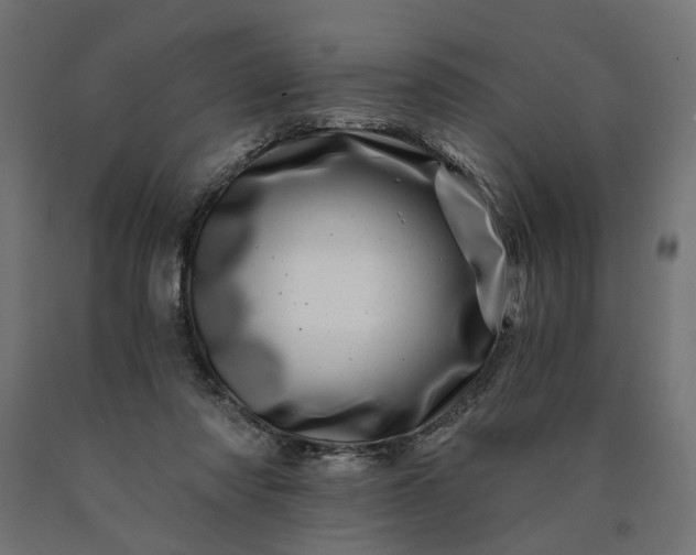 X0000090720310200708031506