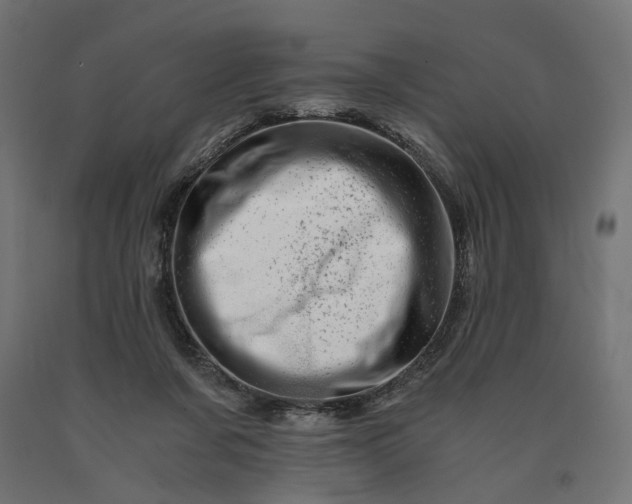 X0000090720311200708031506