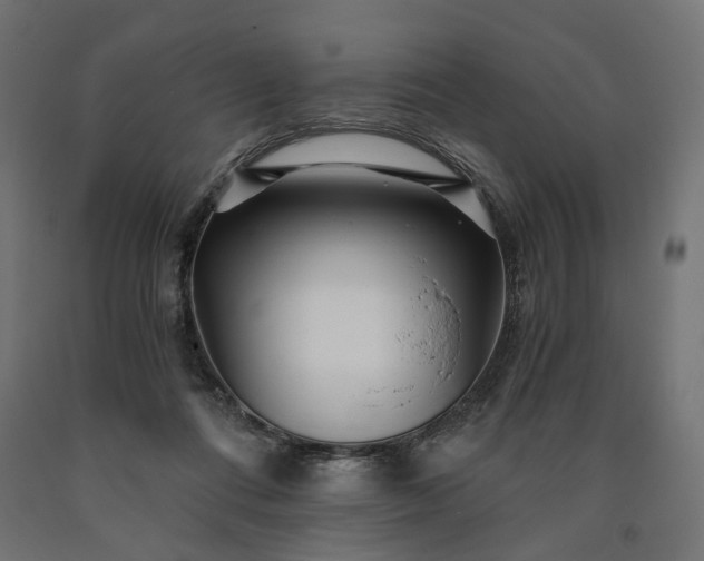 X0000090720312200708031506