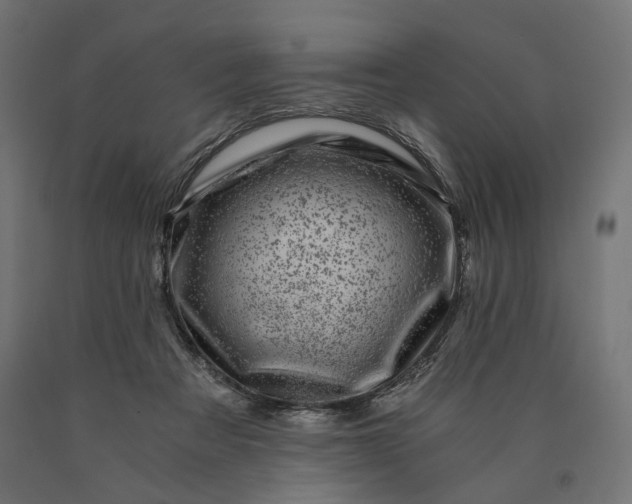 X0000090720313200708031506