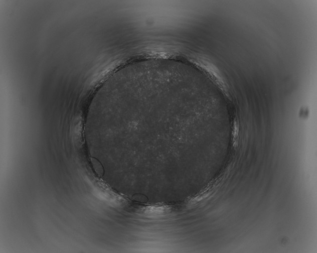 X0000090720314200708031506
