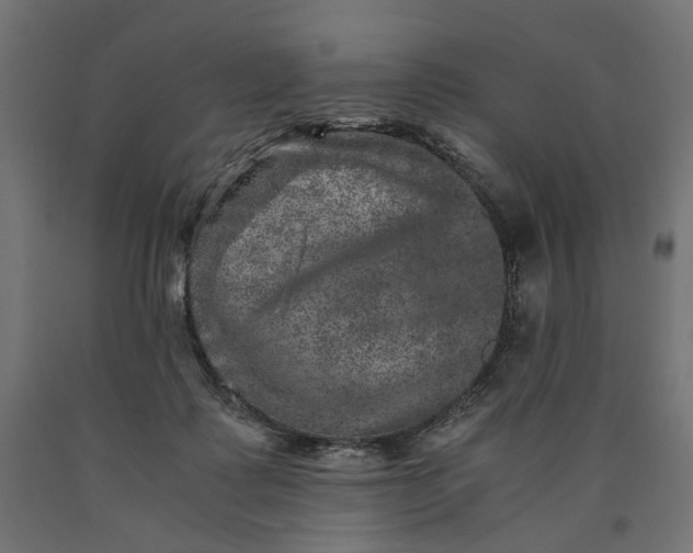 X0000090720315200708031506