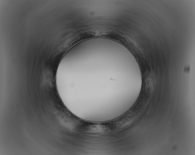 X0000090720316200708031506
