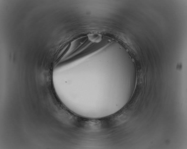 X0000090720317200708031506