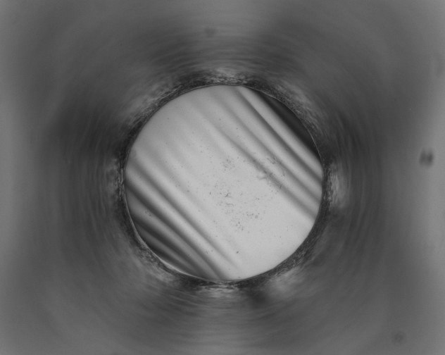 X0000090720318200708031506