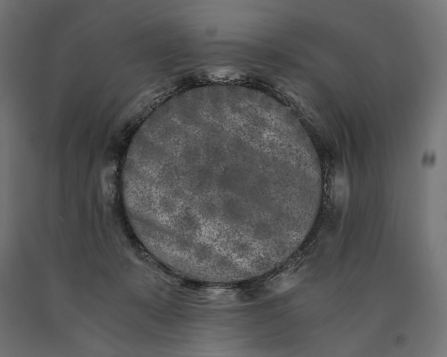 X0000090720319200708031506