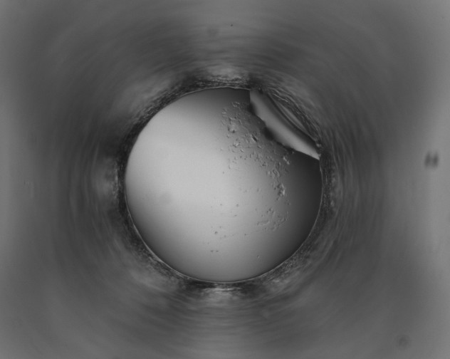 X0000090720320200708031506
