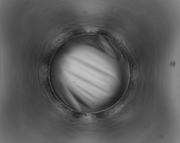 X0000090720321200708031506