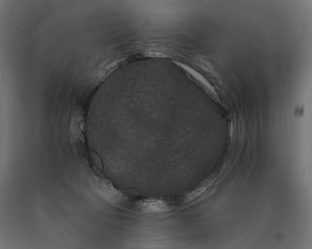 X0000090720322200708031506