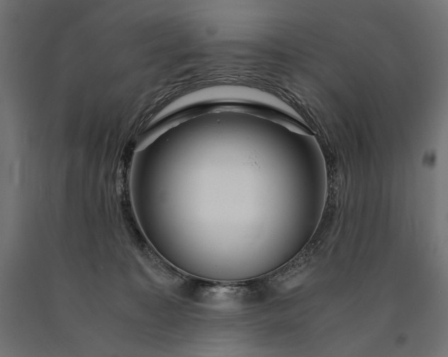 X0000090720323200708031506