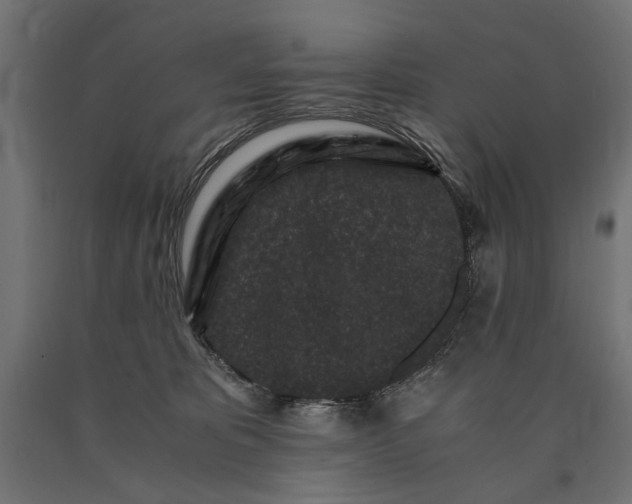 X0000090720325200708031506