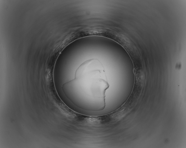 X0000090720327200708031506