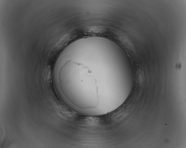X0000090720328200708031506