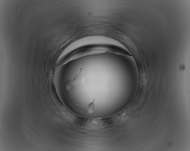 X0000090720329200708031506