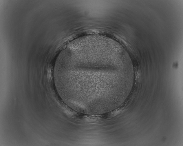 X0000090720331200708031506