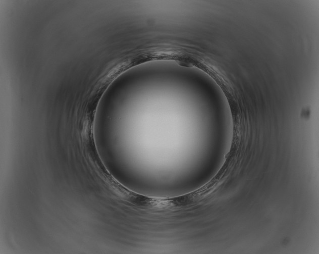 X0000090720333200708031506