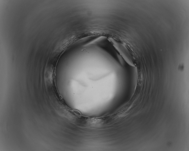 X0000090720334200708031506