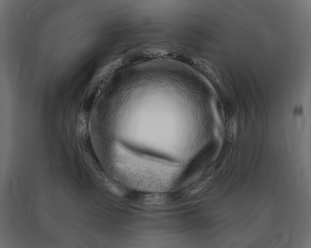 X0000090720335200708031506
