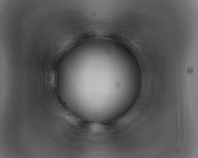 X0000090720336200708031506