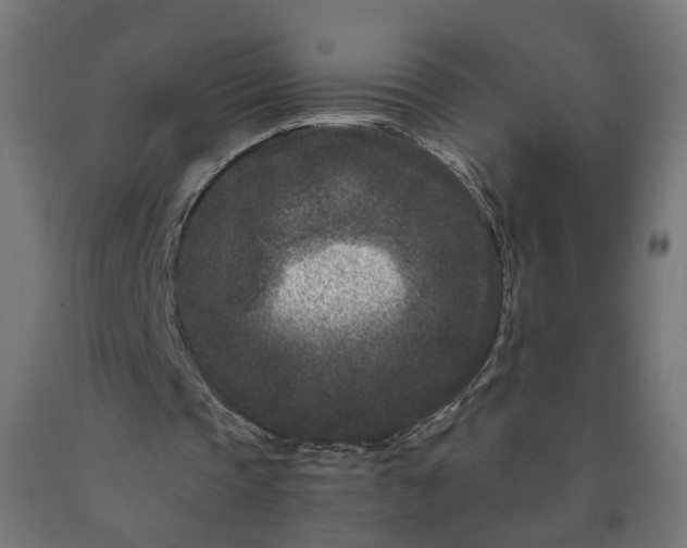 X0000090720337200708031505
