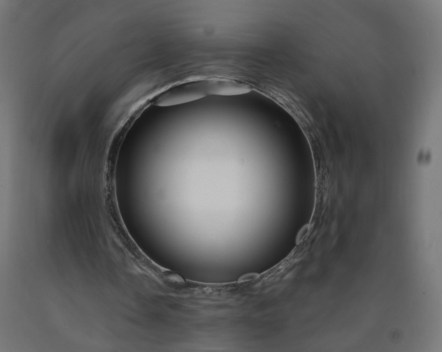 X0000090720338200708031505