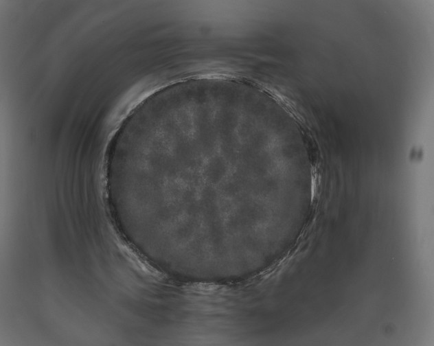X0000090720339200708031505