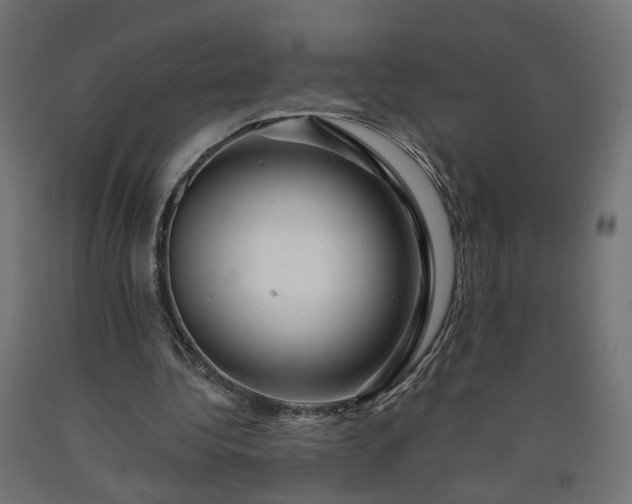 X0000090720340200708031505