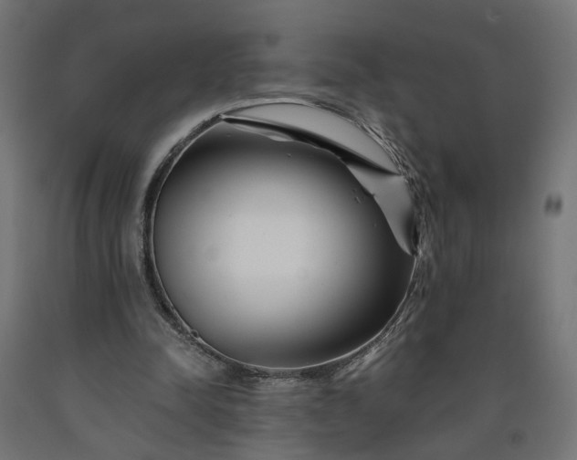 X0000090720342200708031505
