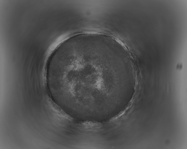 X0000090720343200708031505