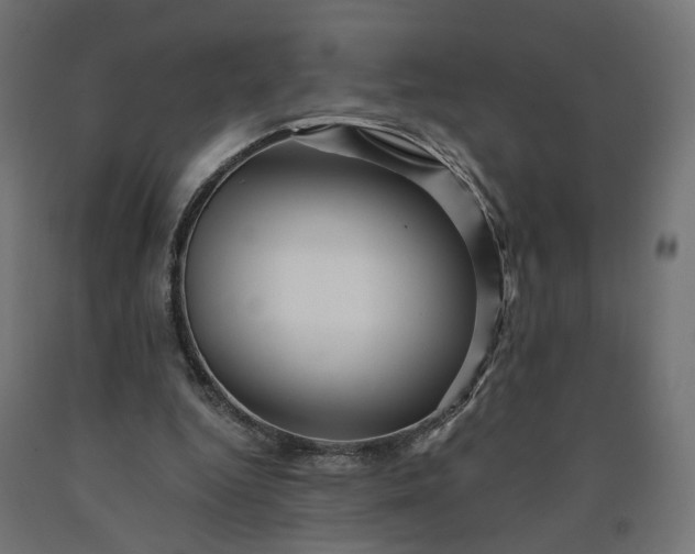 X0000090720344200708031505