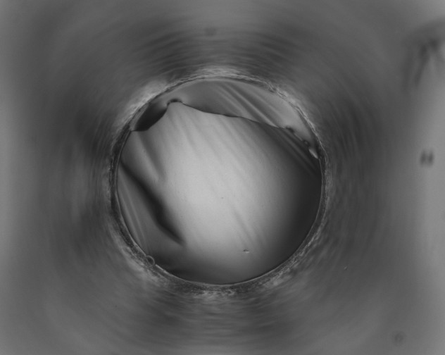 X0000090720345200708031505