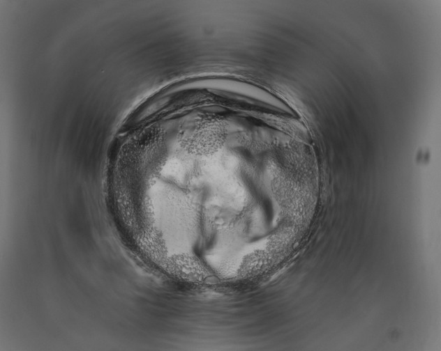 X0000090720346200708031505